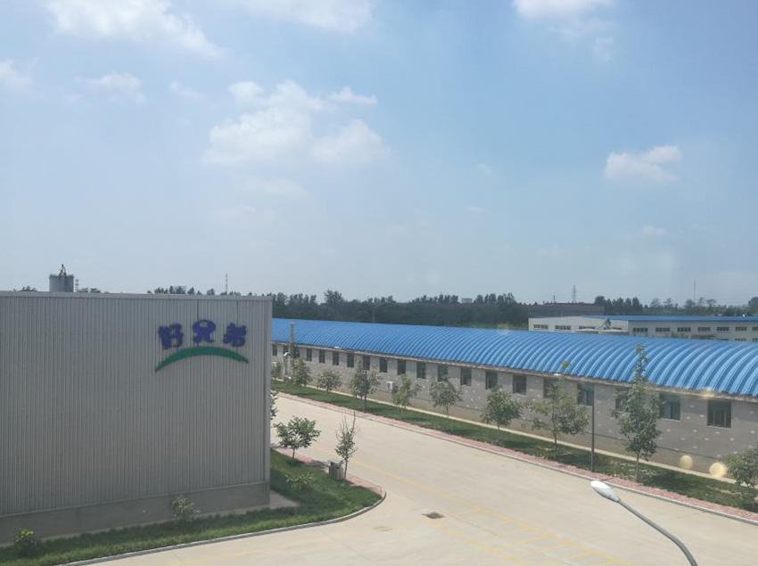 T+助“邢臺(tái)好兄弟食品有限公司”冰爽整個(gè)夏天