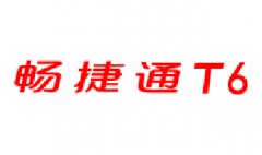 暢捷通T6